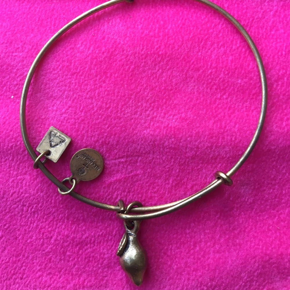Alex and ani bracelet